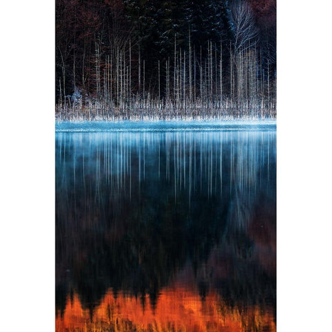 Cuejdel Lake White Modern Wood Framed Art Print by Mirica, Dan