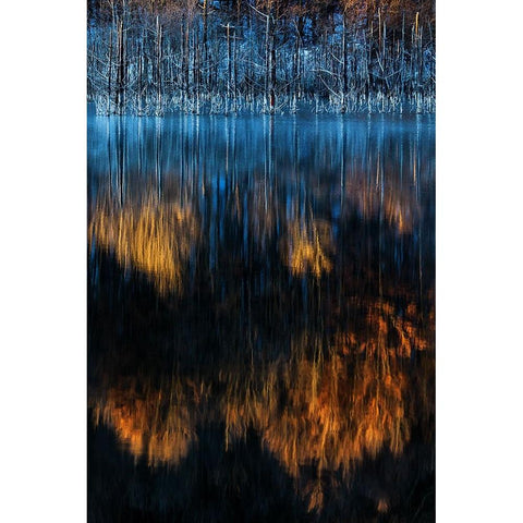 Cuejdel lake Black Modern Wood Framed Art Print with Double Matting by Mirica, Dan