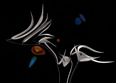 Night Concerto... White Modern Wood Framed Art Print with Double Matting by Dufour, Thierry