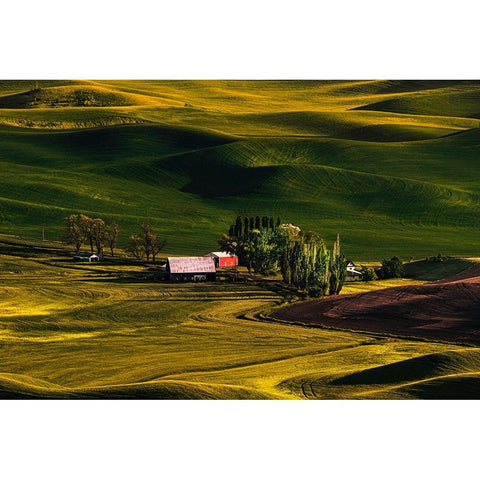 Palouse Wheat Fields Black Modern Wood Framed Art Print with Double Matting by Dickau, Kristel