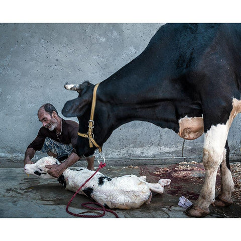 Welcome To The Cruel World Gold Ornate Wood Framed Art Print with Double Matting by Bahmani, Mitra