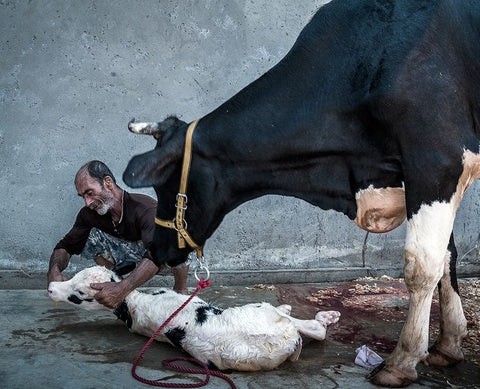 Welcome To The Cruel World Black Ornate Wood Framed Art Print with Double Matting by Bahmani, Mitra