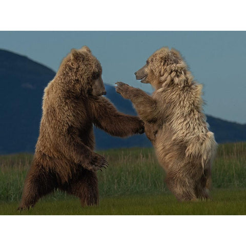 Wanna Dance? Black Modern Wood Framed Art Print by Gill, Barbara