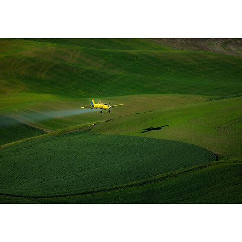 The Airplane And The Palouse Gold Ornate Wood Framed Art Print with Double Matting by Bao, Shuqing