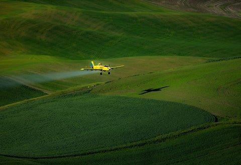 The Airplane And The Palouse Black Ornate Wood Framed Art Print with Double Matting by Bao, Shuqing