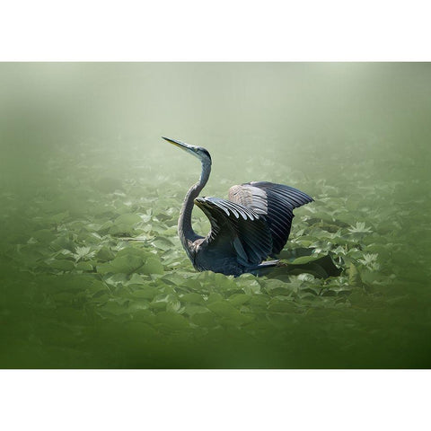 blue heron in a green dream Black Modern Wood Framed Art Print by Chen, Jennifer