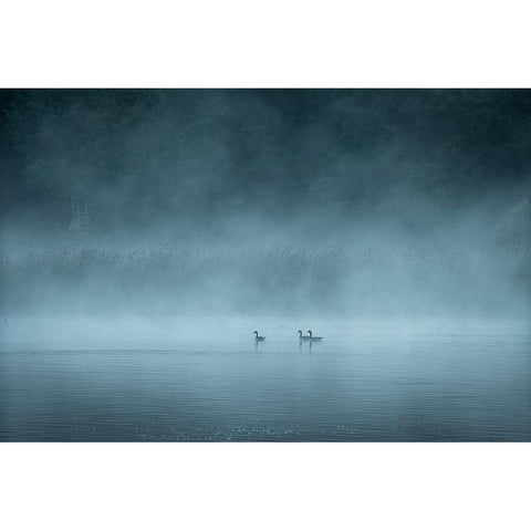 Dark And Foggy Lake White Modern Wood Framed Art Print by Lindsten, Christian