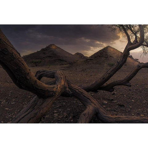 Guide Me To The Light Black Modern Wood Framed Art Print by Sulaiman Alshehhi, Ahmed