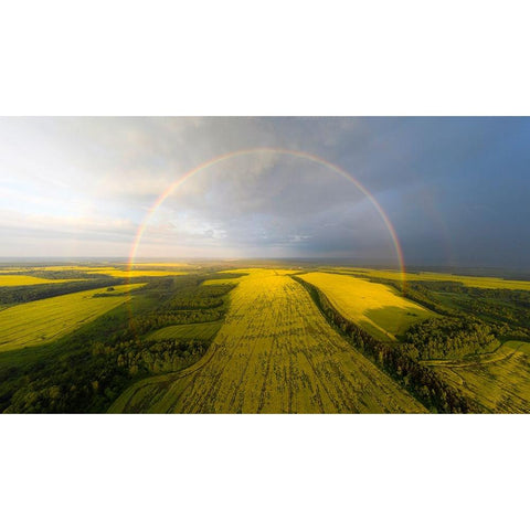 An Exotic Look At The Rainbow White Modern Wood Framed Art Print by Doronin, Dmitry