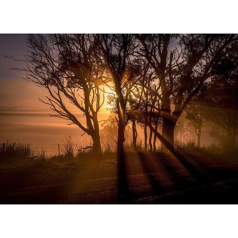 Sunrise Over Morning Mist Black Modern Wood Framed Art Print with Double Matting by Ma, Frank