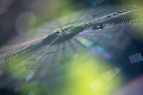 Colorful Dream White Modern Wood Framed Art Print with Double Matting by Deng, Ivy