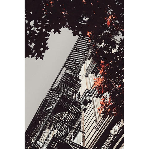 New York City Autumn White Modern Wood Framed Art Print by Martin, Rikard