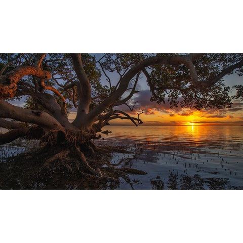 Sunrise At Nudgee Beach Black Modern Wood Framed Art Print by Papamanolis, Emanuel