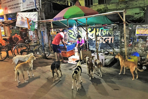 The Chicken Shop-And Its Customers. Calcutta. White Modern Wood Framed Art Print with Double Matting by Sengupta, Santanu