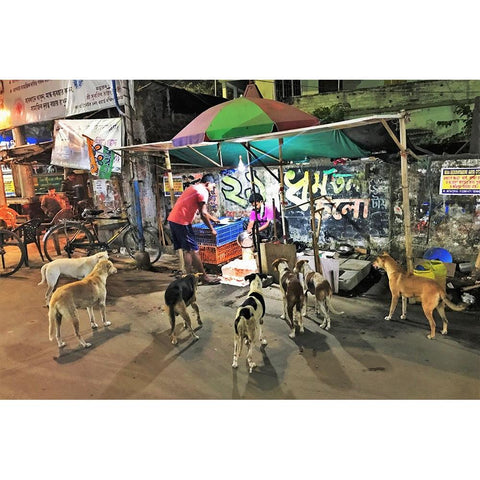 The Chicken Shop-And Its Customers. Calcutta. White Modern Wood Framed Art Print by Sengupta, Santanu