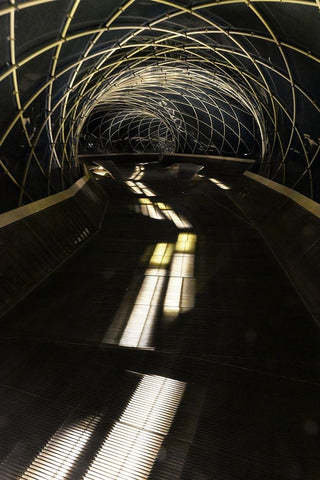 Anyang Art Park Black Ornate Wood Framed Art Print with Double Matting by Young Choi, Mi