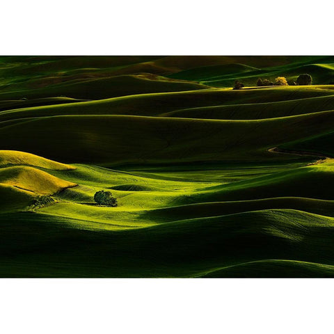 Palouse Wheat Fields Black Modern Wood Framed Art Print with Double Matting by Dickau, Kristel