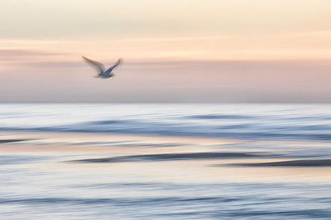 Out There Black Ornate Wood Framed Art Print with Double Matting by Hullot Scalvenzi, Benjamine