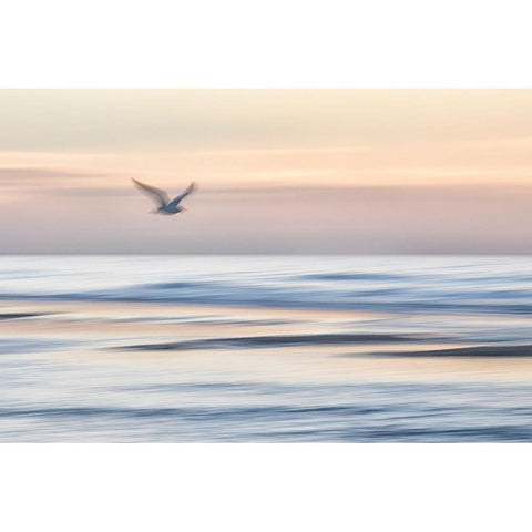 Out There Gold Ornate Wood Framed Art Print with Double Matting by Hullot Scalvenzi, Benjamine