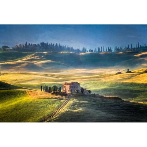 Toscana White Modern Wood Framed Art Print by Prioteasa, Sebastian