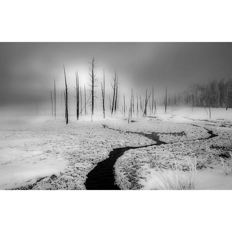 Winter Solstice White Modern Wood Framed Art Print by An, Anna