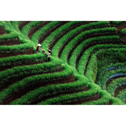 Majalengka Terasering Black Modern Wood Framed Art Print with Double Matting by Bunjamin (Abe), Antonyus