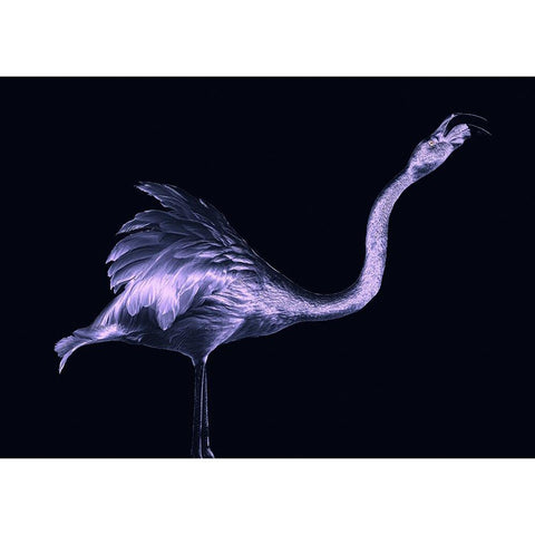 Silver Flamingo Gold Ornate Wood Framed Art Print with Double Matting by Tsikiridis, Georgios