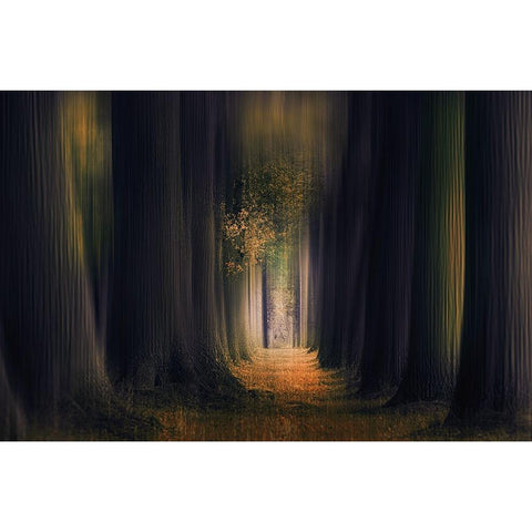 Infinity White Modern Wood Framed Art Print by Van Der, Jan