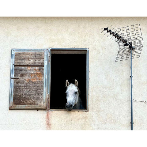 The window White Modern Wood Framed Art Print by Grifantini, Lorenzo