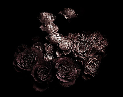 Roses Black Ornate Wood Framed Art Print with Double Matting by Julie, Angel