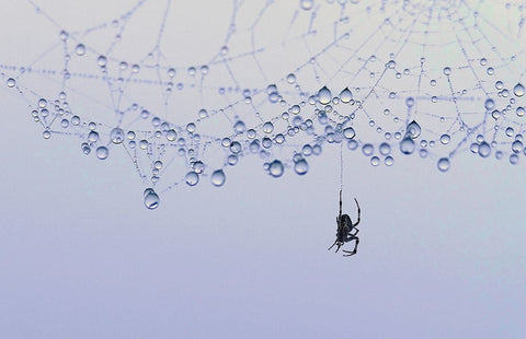 Trasparency White Modern Wood Framed Art Print with Double Matting by Pizzocaro, Giorgio