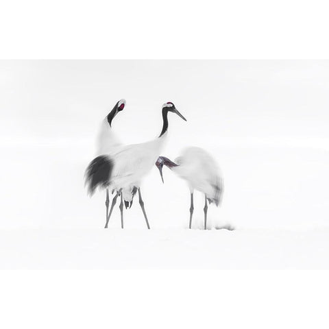 Family White Modern Wood Framed Art Print by Deng, Larry