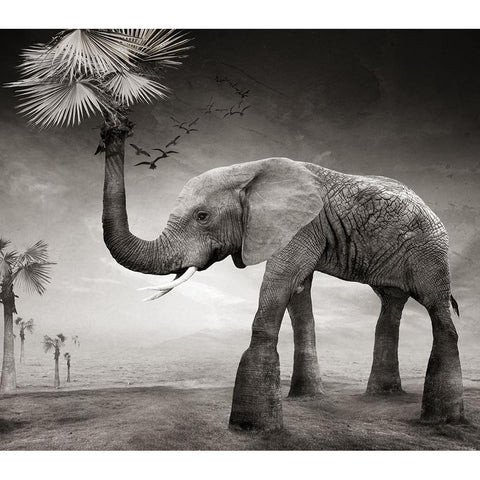 The story of elephants Black Modern Wood Framed Art Print with Double Matting by XibiaoHuang