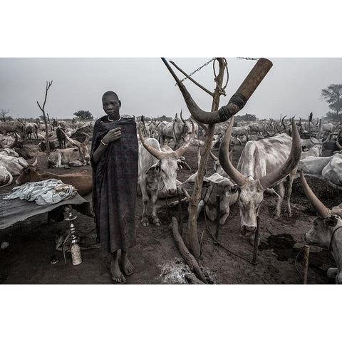 In A Mundari Cattle Camp-III - South Sudan Black Modern Wood Framed Art Print by Inazio Kuesta, Joxe