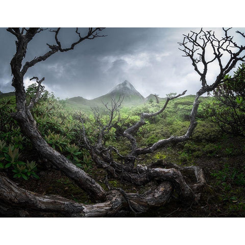 Yunnan wasteland Gold Ornate Wood Framed Art Print with Double Matting by Hou, Minghao