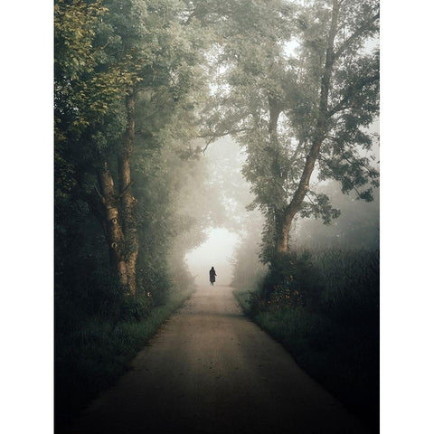 autumn White Modern Wood Framed Art Print by Wasinger, Renate