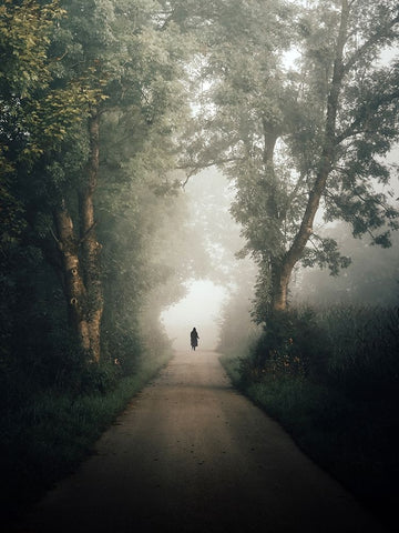 autumn White Modern Wood Framed Art Print with Double Matting by Wasinger, Renate