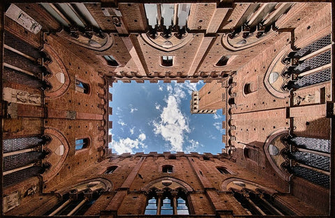 Looking up the Torre del Mangia Black Ornate Wood Framed Art Print with Double Matting by Echteld, Michael