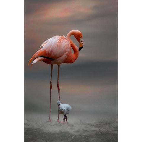 Tender Moments Black Modern Wood Framed Art Print with Double Matting by Wisniowska, Krystina