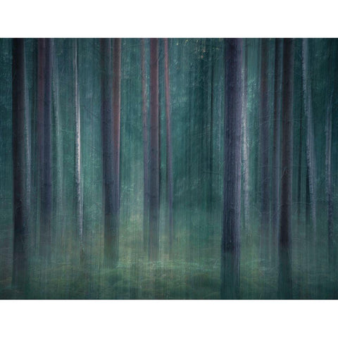 ICM 9 Black Modern Wood Framed Art Print with Double Matting by Lindsten, Christian