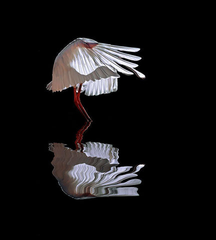 The Ave White Modern Wood Framed Art Print with Double Matting by Luis Duran, Juan