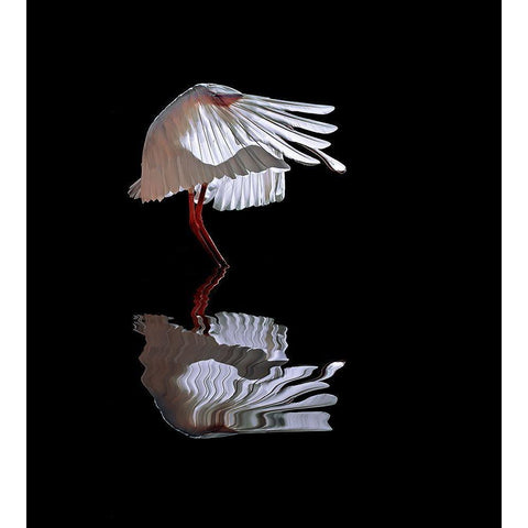 The Ave Black Modern Wood Framed Art Print by Luis Duran, Juan