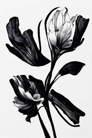 Black Flower White Modern Wood Framed Art Print with Double Matting by Treechild