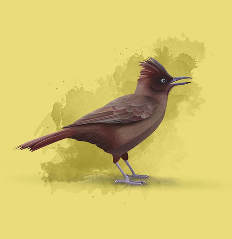 Cachalote castaApo White Modern Wood Framed Art Print with Double Matting by Caballero, Franco