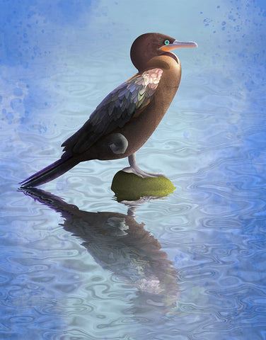 River Bigua Black Modern Wood Framed Art Print by Caballero, Franco