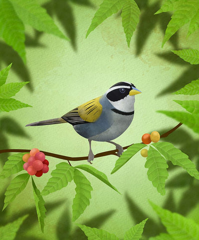 Cerquero de collar Black Modern Wood Framed Art Print by Caballero, Franco