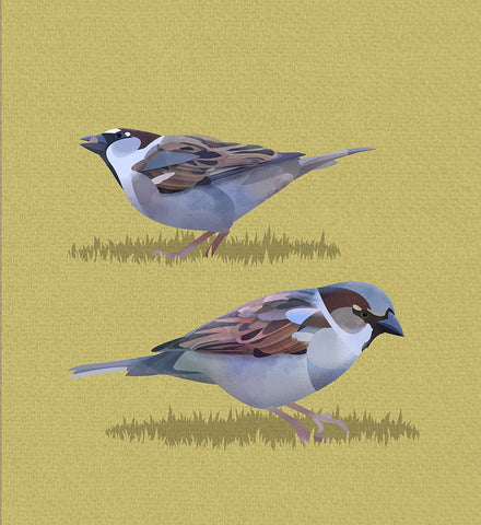 Sparrows White Modern Wood Framed Art Print with Double Matting by Caballero, Franco