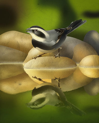 Monterita de collar White Modern Wood Framed Art Print with Double Matting by Caballero, Franco