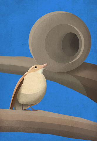 Hornero Black Modern Wood Framed Art Print by Caballero, Franco