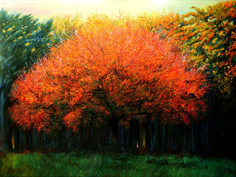 Autumn Tree at Laren (2013) White Modern Wood Framed Art Print with Double Matting by Akkers, Corne